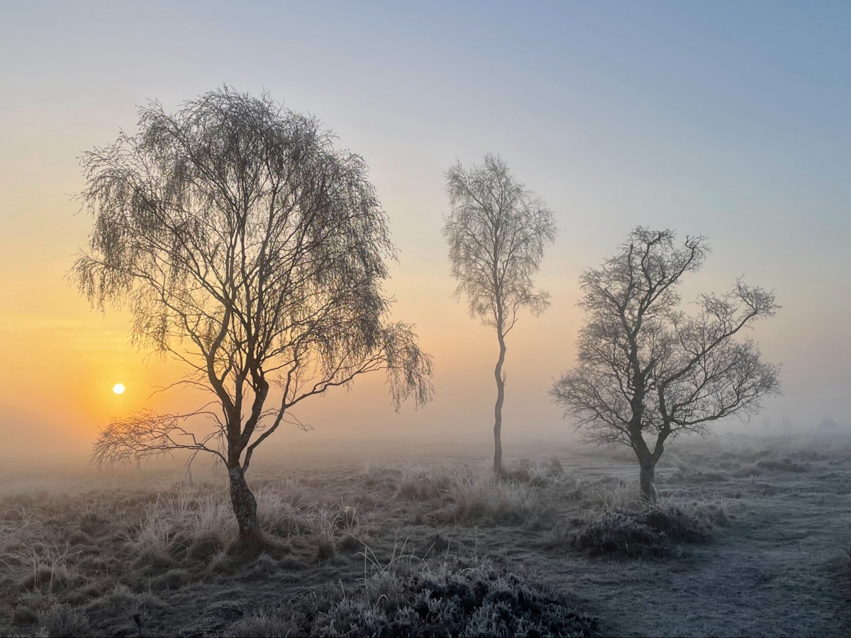 February - Misty Winter Sunrise by Marion Hayhurst